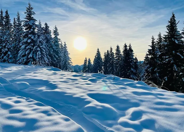 Bright Side Of Life - Am Sonnenhang